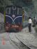 Toy train is a better option to travel comfortably & economically from New Jalpaiguri to Darjeeling, but time consuming